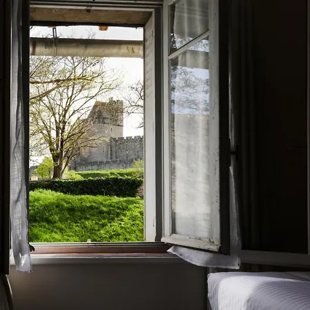 Le Cocon De La Cite - Parking Au Pied De La Cite 公寓